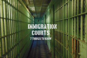 immigrationcourts